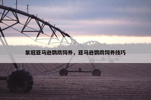 紫冠亚马逊鹦鹉饲养，亚马逊鹦鹉饲养技巧