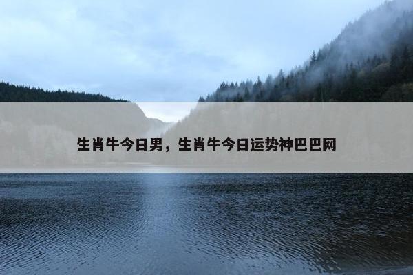 生肖牛今日男，生肖牛今日运势神巴巴网