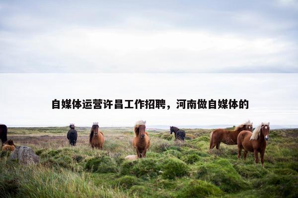 自媒体运营许昌工作招聘，河南做自媒体的