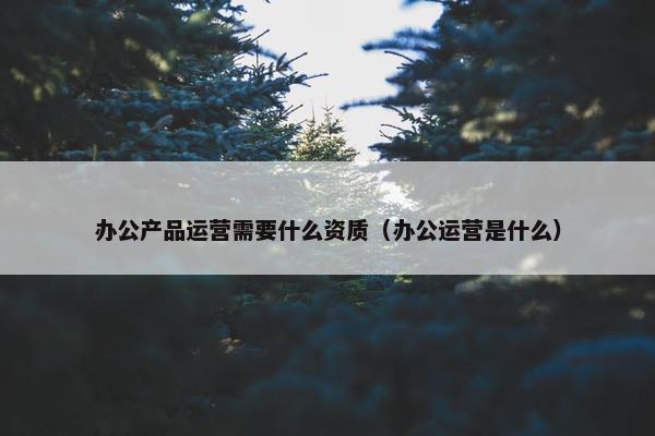 办公产品运营需要什么资质（办公运营是什么）