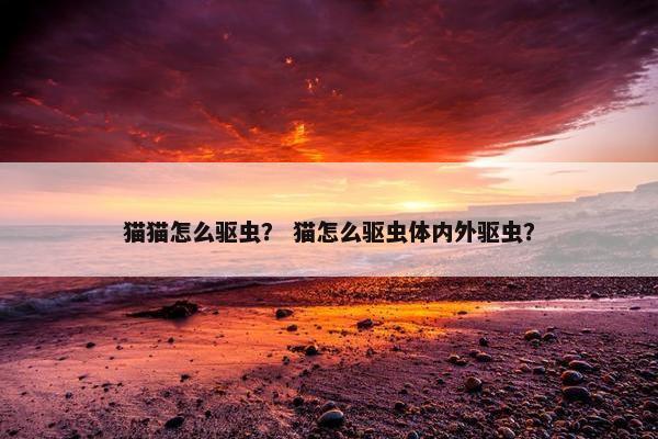 猫猫怎么驱虫？ 猫怎么驱虫体内外驱虫？