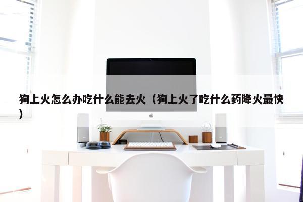 狗上火怎么办吃什么能去火（狗上火了吃什么药降火最快）