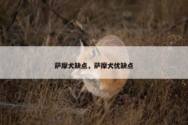 萨摩犬缺点，萨摩犬优缺点