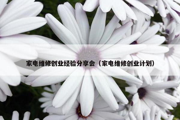 家电维修创业经验分享会（家电维修创业计划）