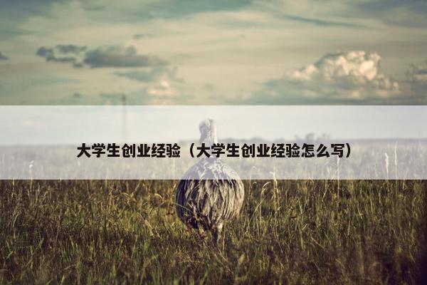 大学生创业经验（大学生创业经验怎么写）
