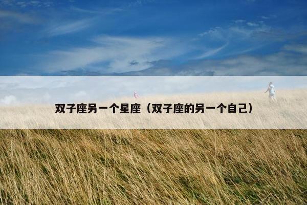 双子座另一个星座（双子座的另一个自己）