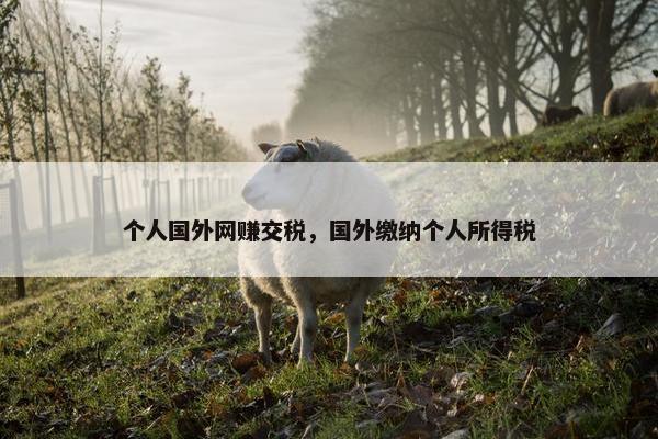 个人国外网赚交税，国外缴纳个人所得税