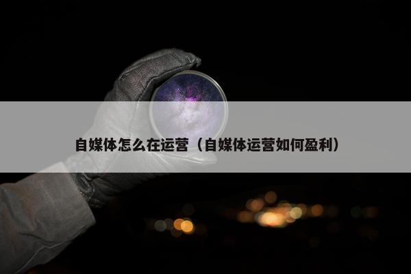 自媒体怎么在运营（自媒体运营如何盈利）