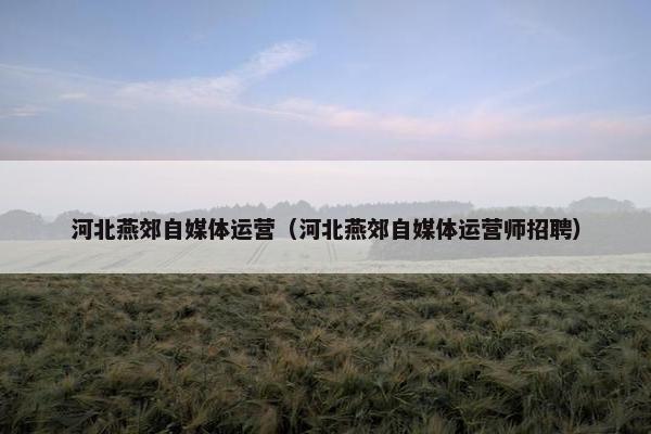 河北燕郊自媒体运营（河北燕郊自媒体运营师招聘）