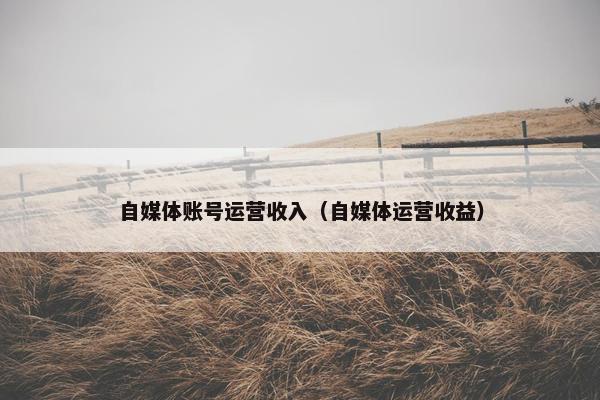 自媒体账号运营收入（自媒体运营收益）