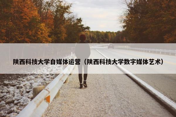 陕西科技大学自媒体运营（陕西科技大学数字媒体艺术）