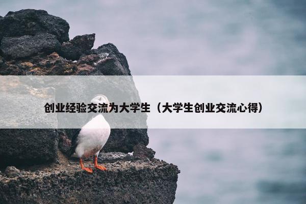 创业经验交流为大学生（大学生创业交流心得）