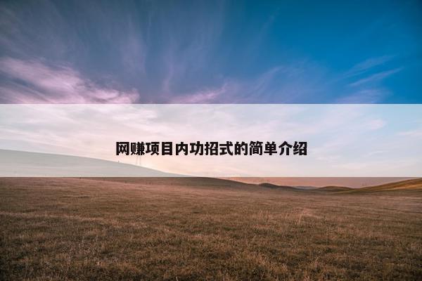网赚项目内功招式的简单介绍