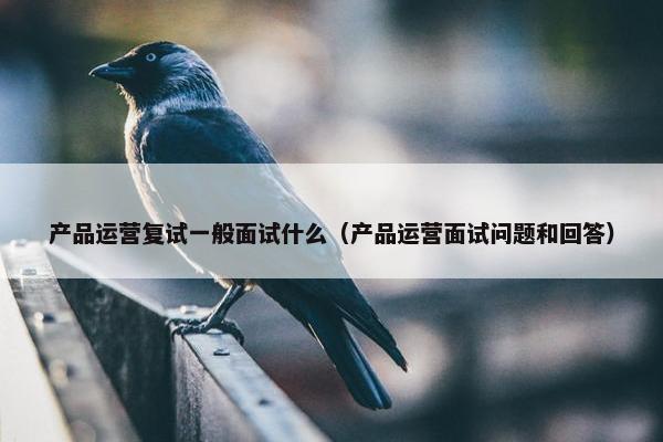 产品运营复试一般面试什么（产品运营面试问题和回答）