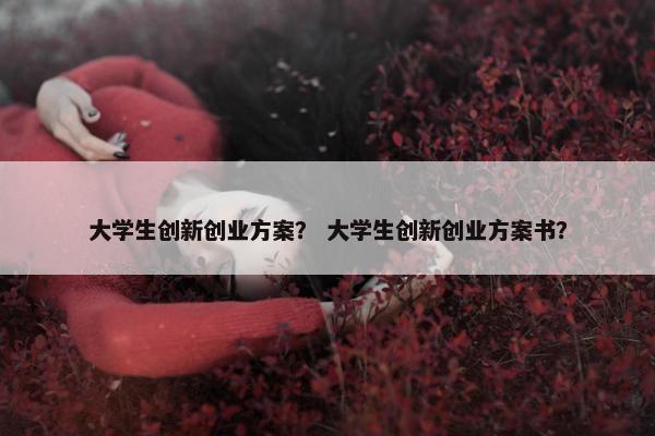 大学生创新创业方案？ 大学生创新创业方案书？