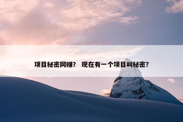 项目秘密网赚？ 现在有一个项目叫秘密？
