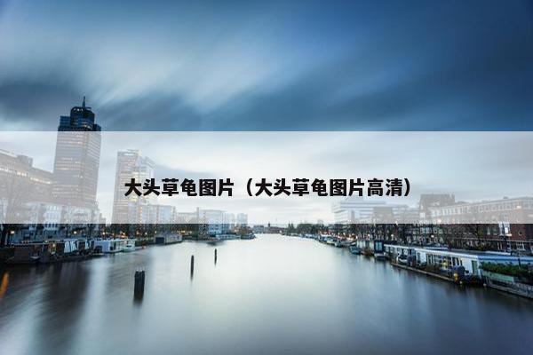 大头草龟图片（大头草龟图片高清）