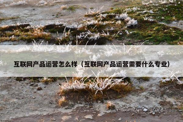 互联网产品运营怎么样（互联网产品运营需要什么专业）