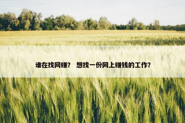 谁在找网赚？ 想找一份网上赚钱的工作？