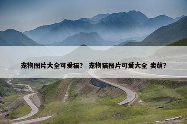 宠物图片大全可爱猫？ 宠物猫图片可爱大全 卖萌？