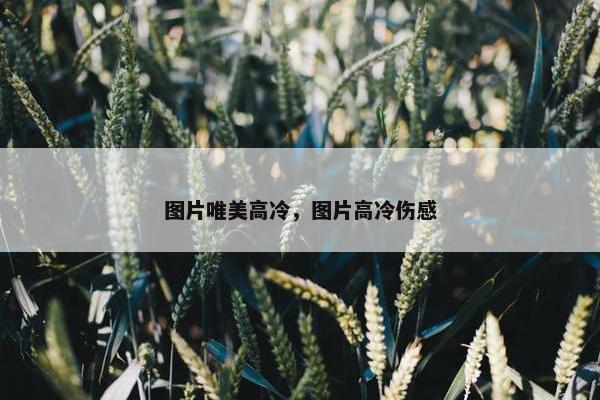 图片唯美高冷，图片高冷伤感