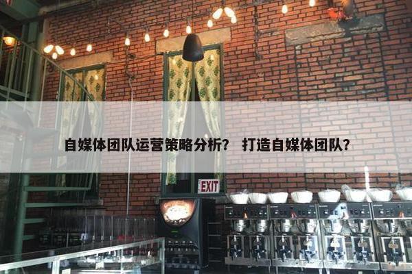 自媒体团队运营策略分析？ 打造自媒体团队？