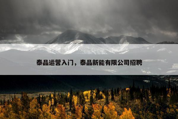 泰品运营入门，泰品新能有限公司招聘
