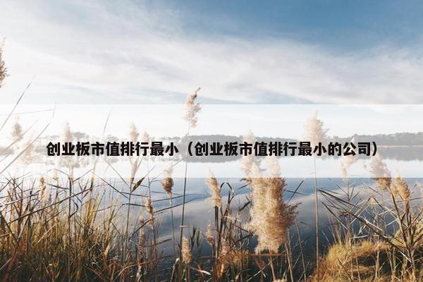创业板市值排行最小（创业板市值排行最小的公司）