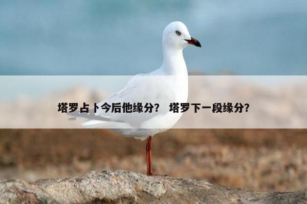 塔罗占卜今后他缘分？ 塔罗下一段缘分？