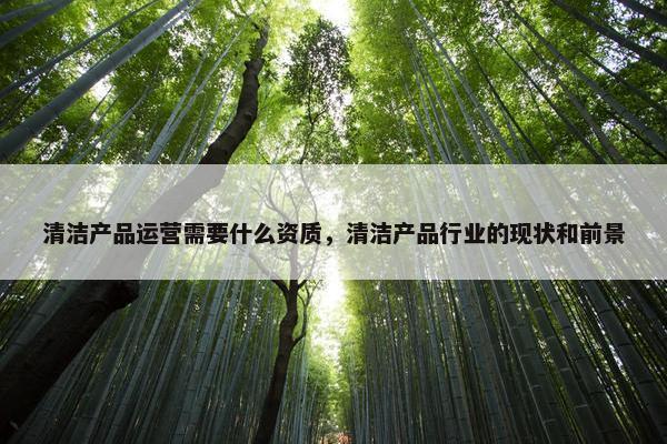 清洁产品运营需要什么资质，清洁产品行业的现状和前景