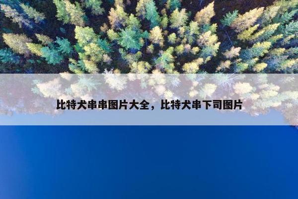 比特犬串串图片大全，比特犬串下司图片