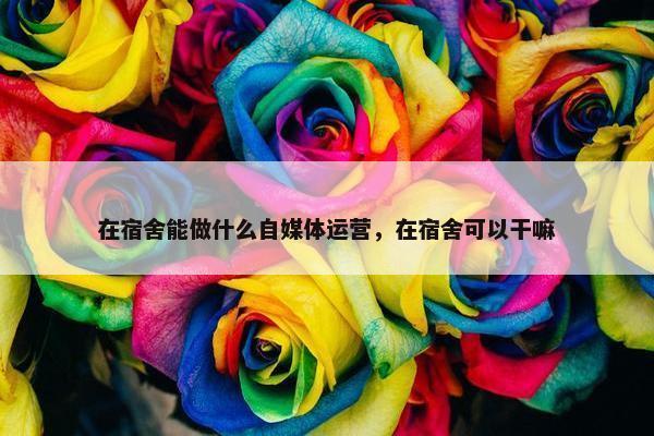 在宿舍能做什么自媒体运营，在宿舍可以干嘛