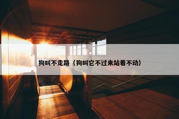 狗叫不走路（狗叫它不过来站着不动）