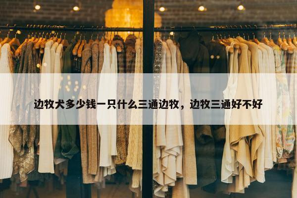 边牧犬多少钱一只什么三通边牧，边牧三通好不好