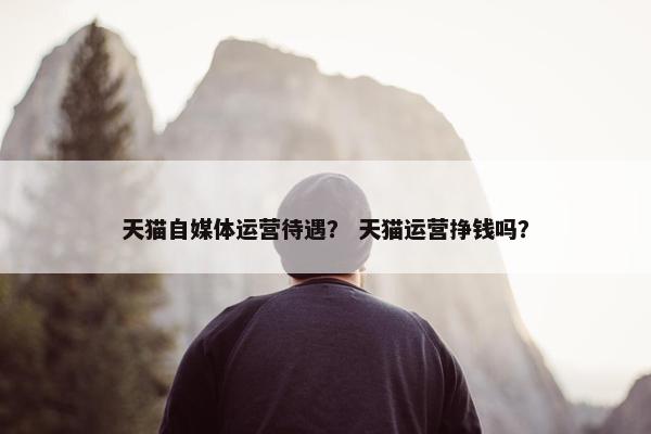 天猫自媒体运营待遇？ 天猫运营挣钱吗？