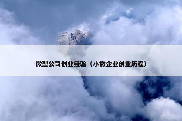 微型公司创业经验（小微企业创业历程）