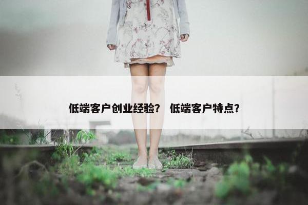 低端客户创业经验？ 低端客户特点？