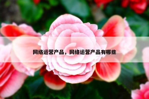 网络运营产品，网络运营产品有哪些