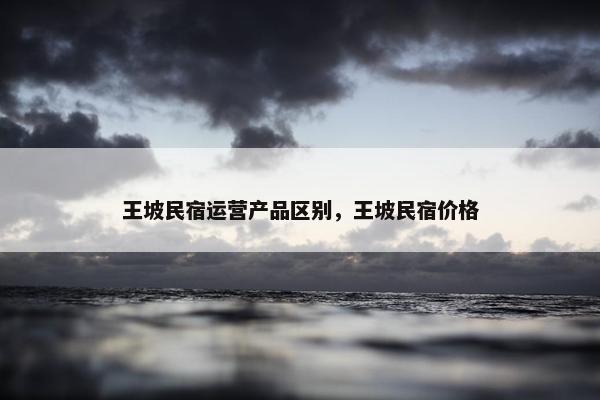 王坡民宿运营产品区别，王坡民宿价格