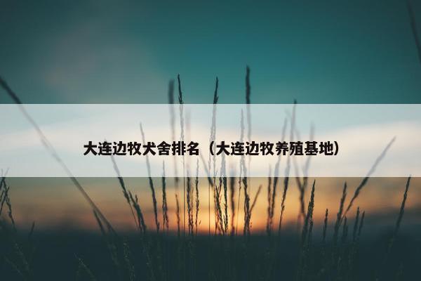 大连边牧犬舍排名（大连边牧养殖基地）