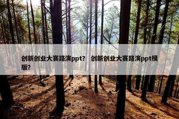 创新创业大赛路演ppt？ 创新创业大赛路演ppt模版？