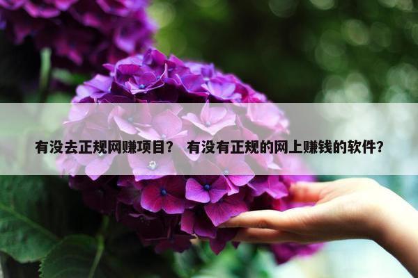 有没去正规网赚项目？ 有没有正规的网上赚钱的软件？