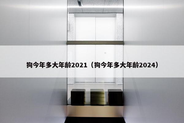 狗今年多大年龄2021（狗今年多大年龄2024）