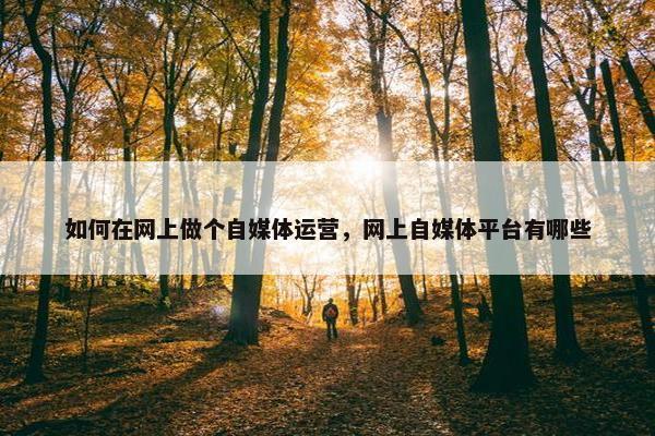 如何在网上做个自媒体运营，网上自媒体平台有哪些