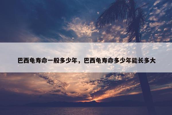 巴西龟寿命一般多少年，巴西龟寿命多少年能长多大