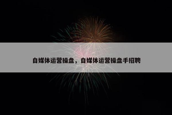 自媒体运营操盘，自媒体运营操盘手招聘