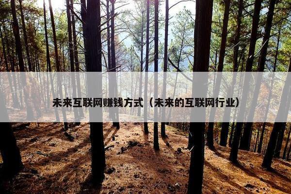 未来互联网赚钱方式（未来的互联网行业）