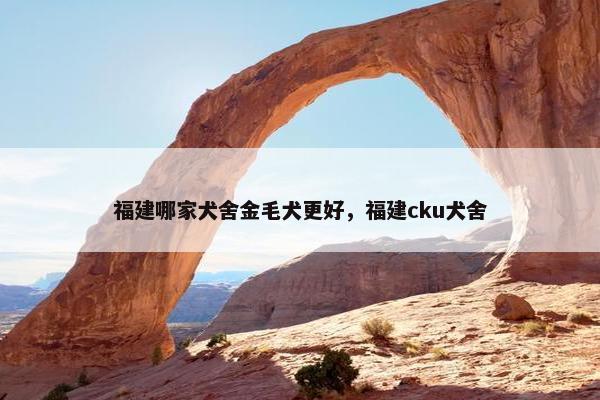 福建哪家犬舍金毛犬更好，福建cku犬舍