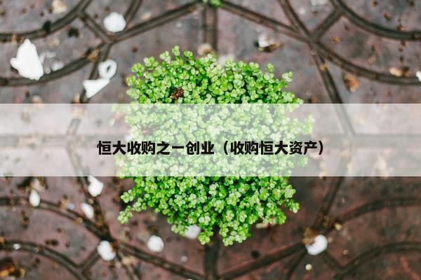 恒大收购之一创业（收购恒大资产）