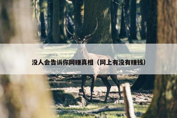 没人会告诉你网赚真相（网上有没有赚钱）